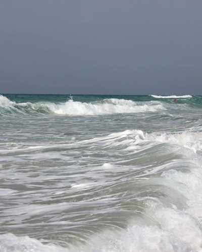 הדפסה 60 על 40- הדפסה 60 על 40-